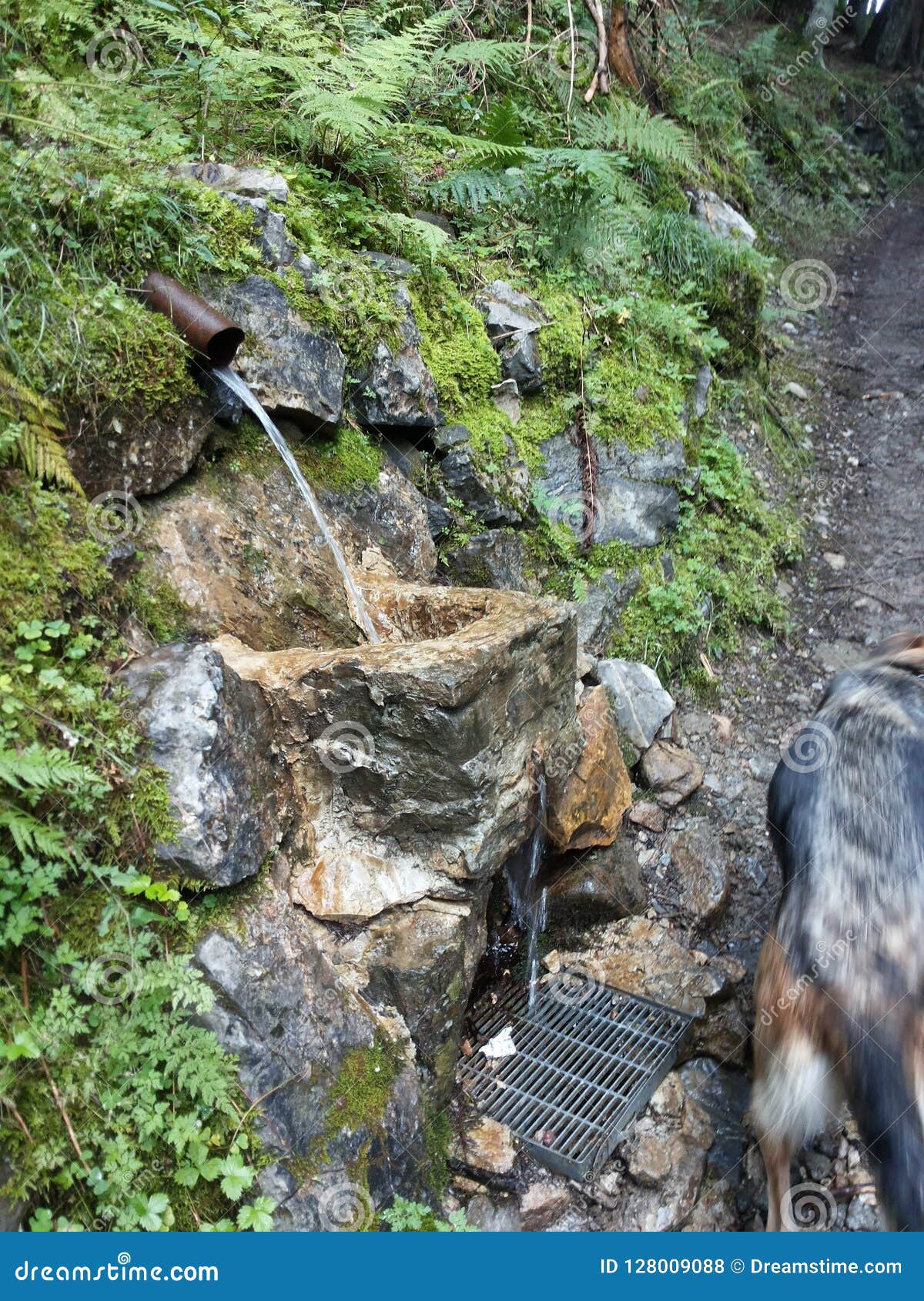 montagna, italia 2