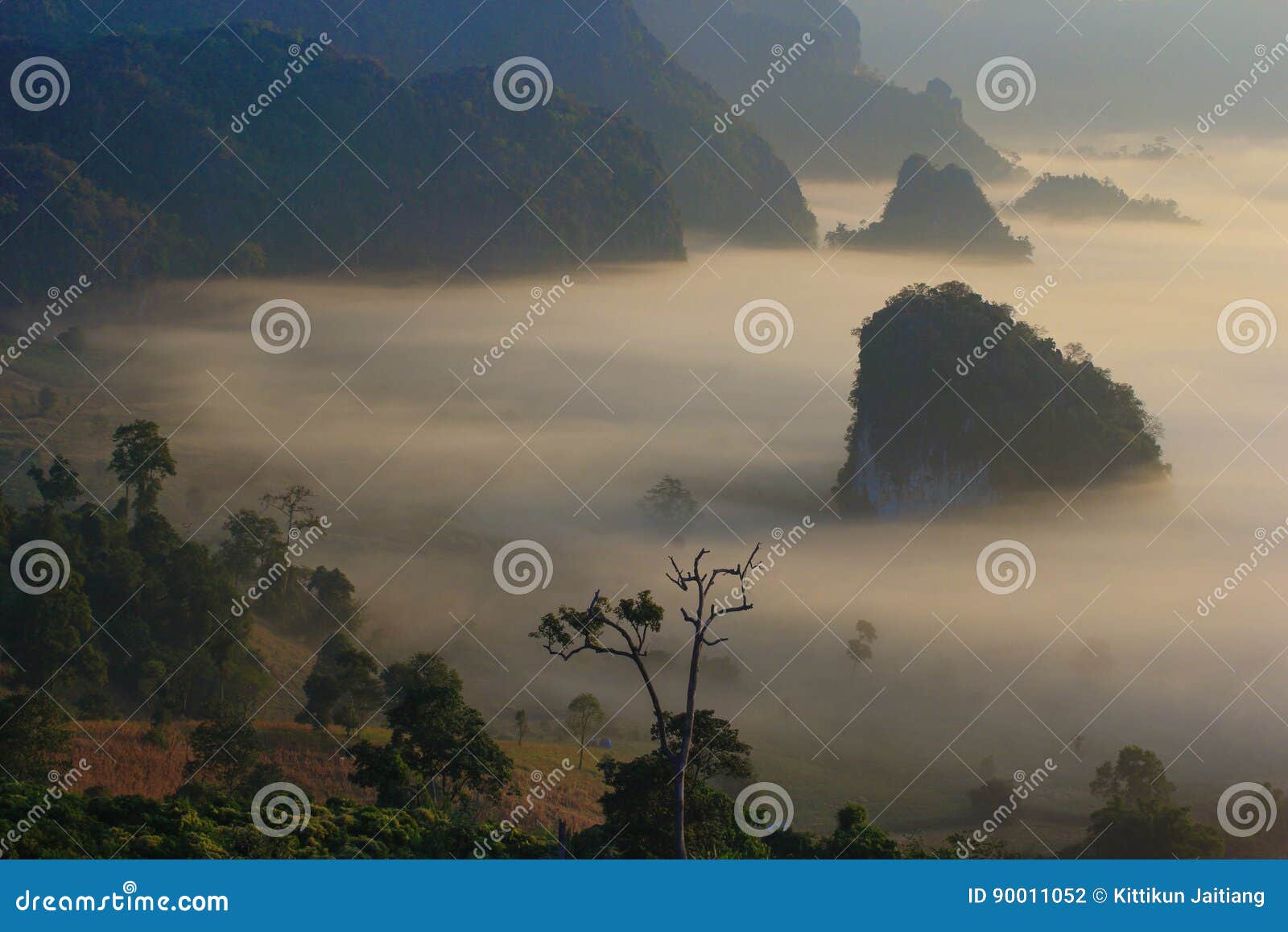 Montagne de bruine. Brume au-dessus de montagne