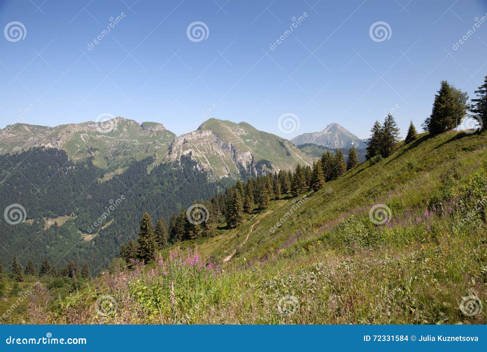 La vista delle montagne di estate in alpi francesi vicino da Avoriaz