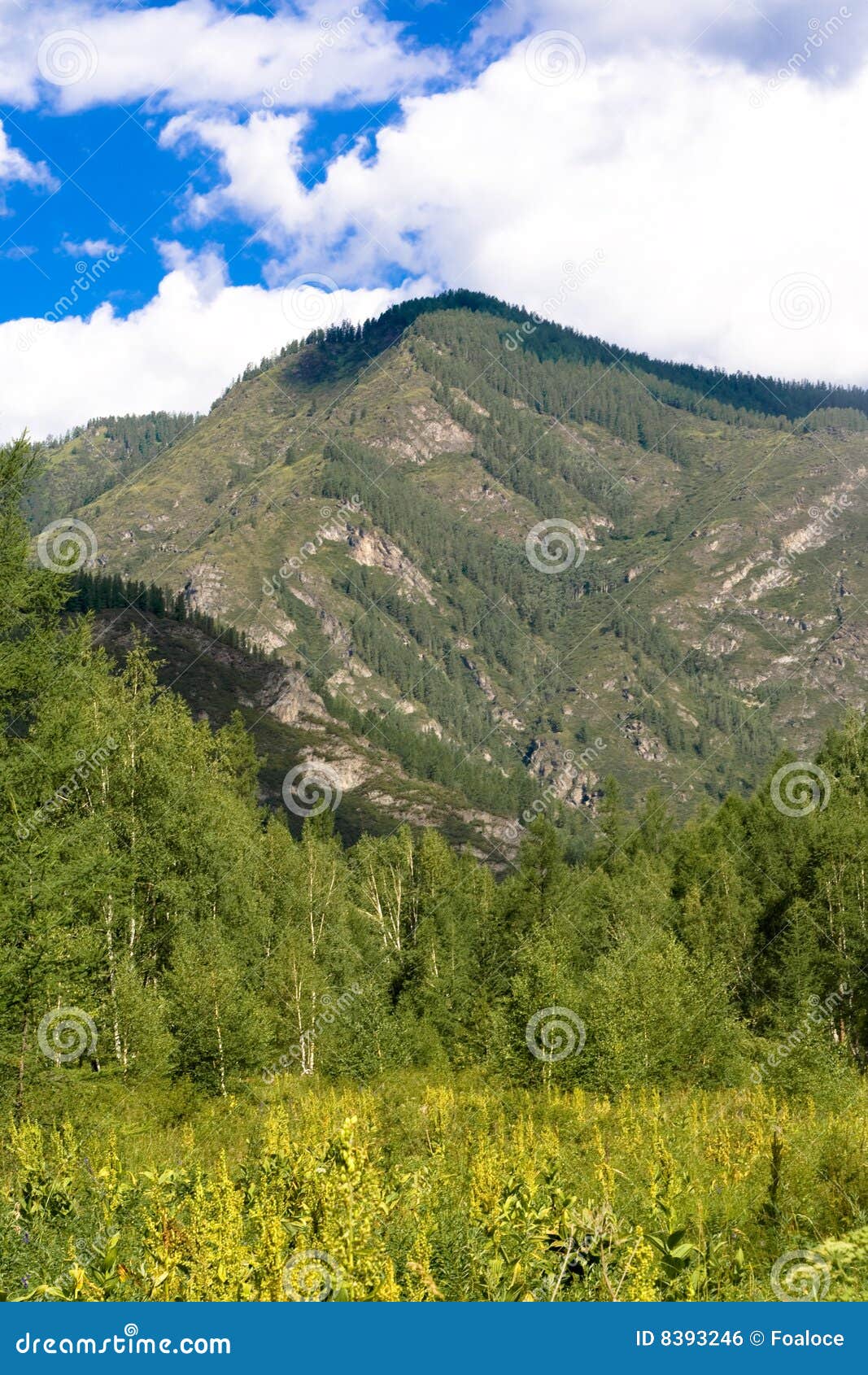 Montagne di Sayan. Panorama della montagna: cielo, nubi e foresta