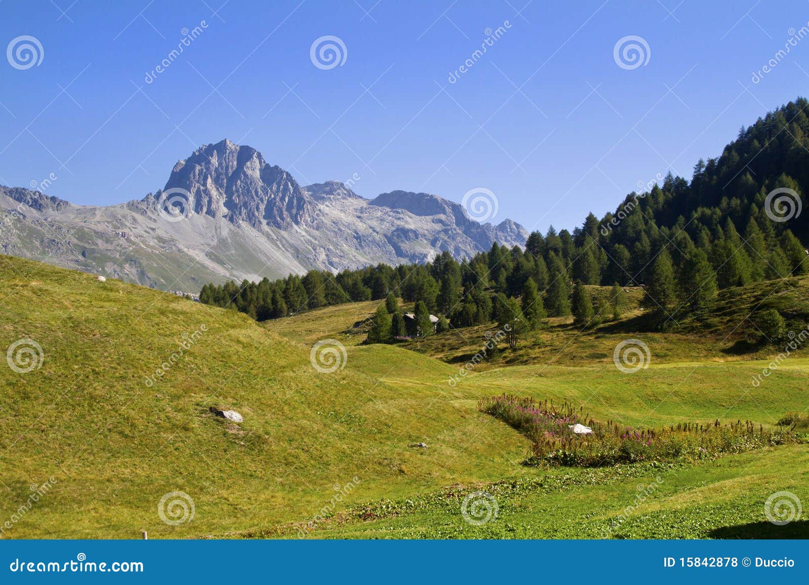 Montagne svizzere. Swiss mountains and meadows with huts typical
