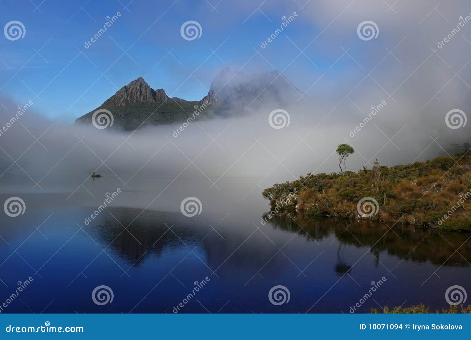 Montagnes de berceau. Matin Tasmanie de brouillard de lac de colombe