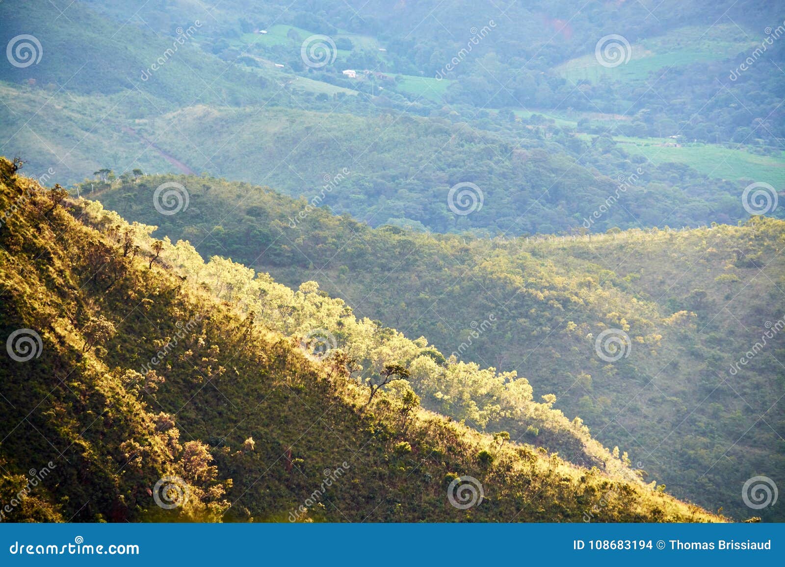 Ферма деревьев montains Gerais мин Бразилии