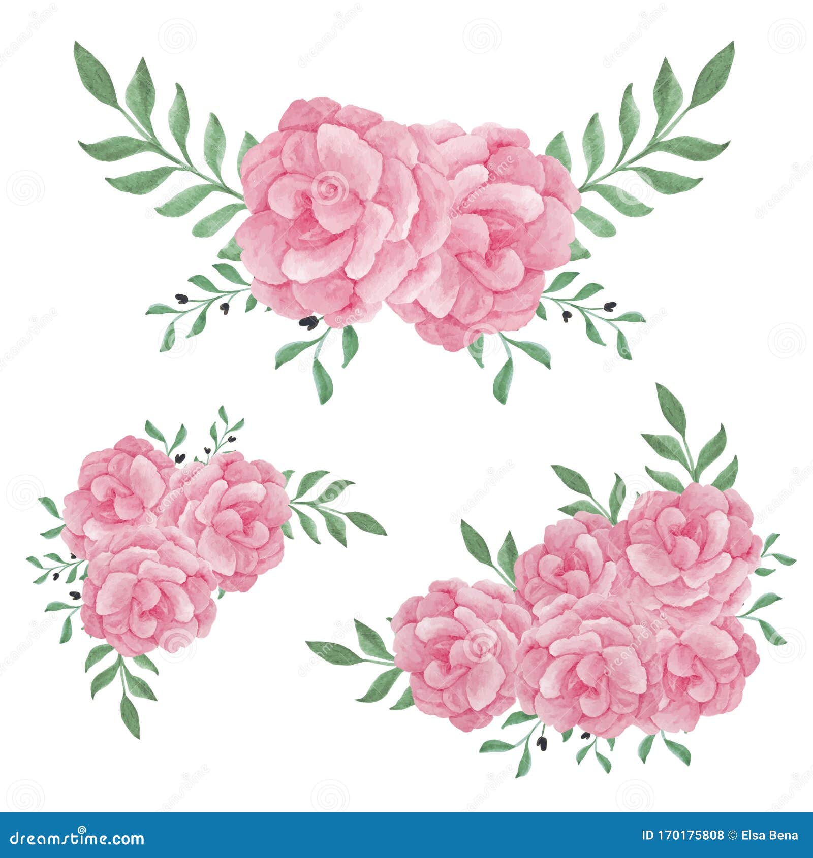 Montaje De Flores Color Agua Rosa Peony Para La Decoración De Cuadros Ilustración del Vector - Ilustración de hoja, verano: 170175808 Montaje De Flores Color Agua Rosa Peony Para La Decoración De Cuadros Ilustración del Vector - Ilustración de hoja, verano: 170175808