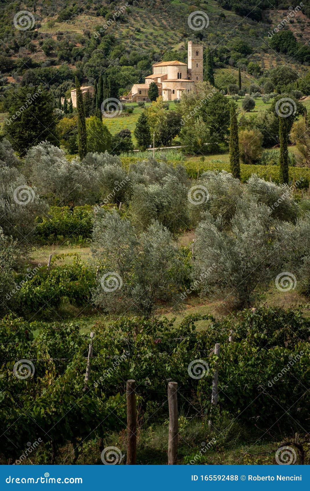 montalcino, siena - tuscany, italy