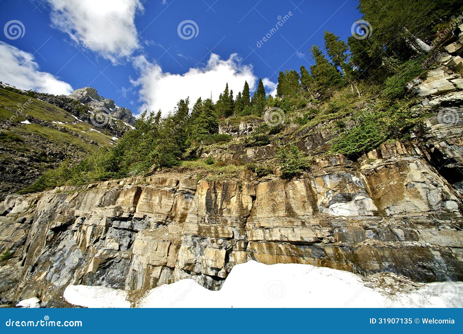 montana geology