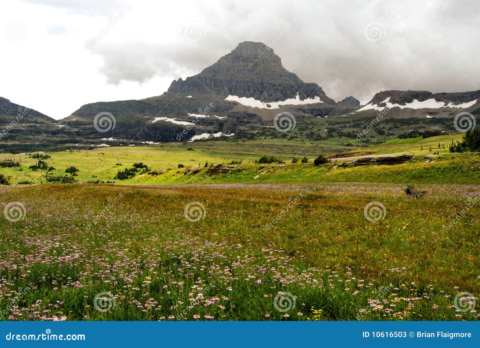 montana glacier park