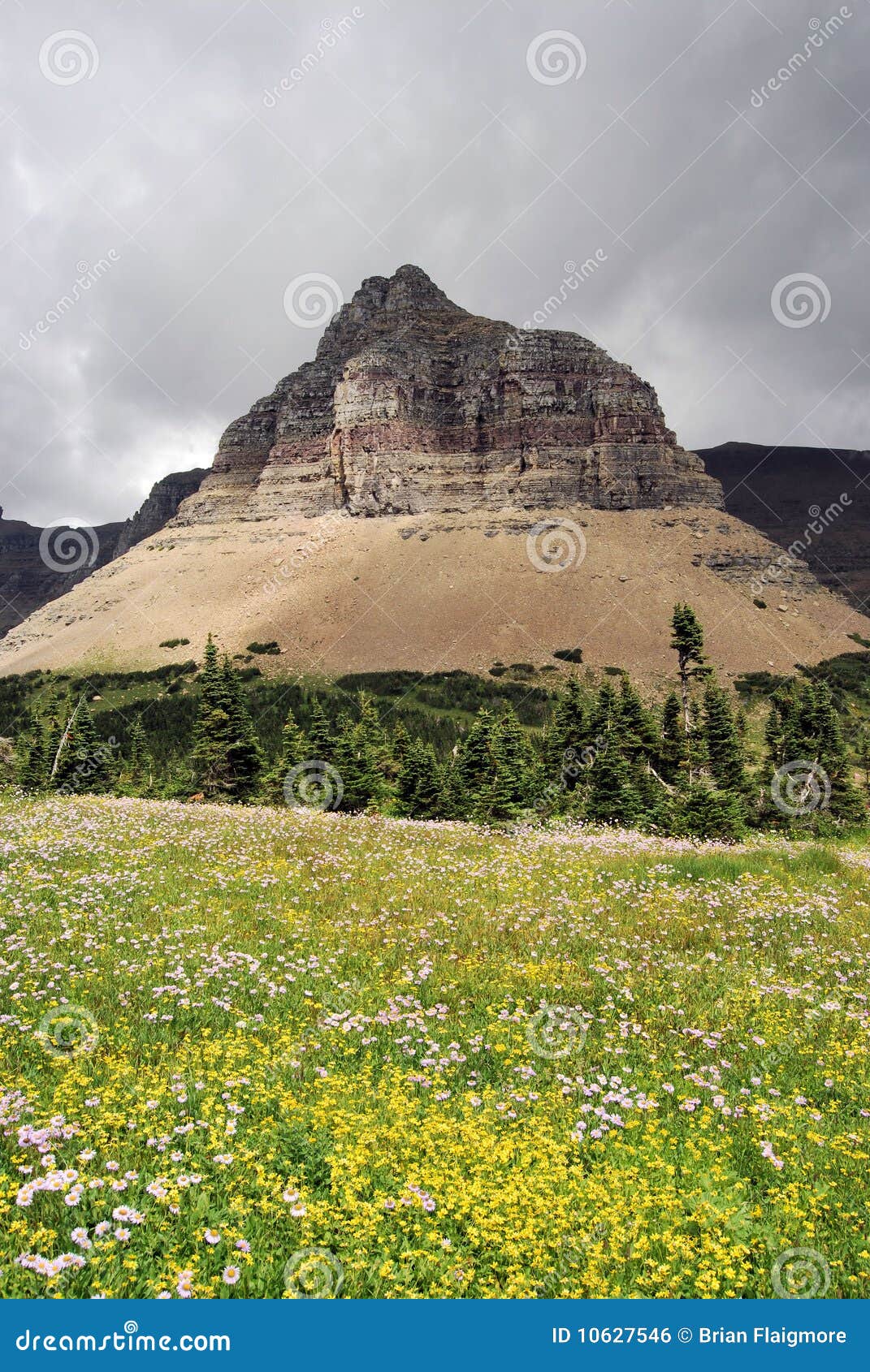 montana glacier park