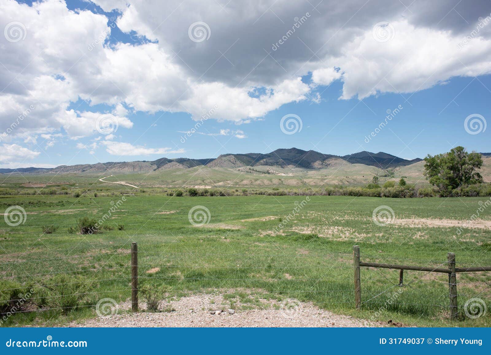 montana ranch