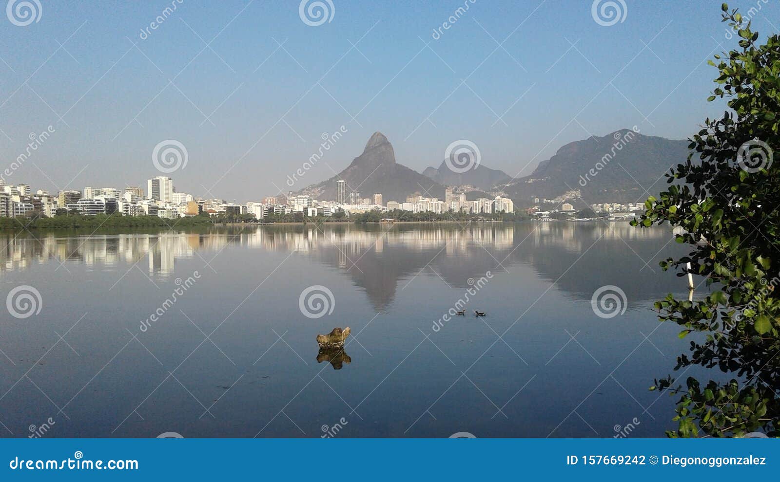 Montanhas, árvores E Prédios Em Volta Da Lagoa Rodrigo De Freitas Rio De  Janeiro Brasil Foto de Stock - Imagem de nave, montanhas: 157669242