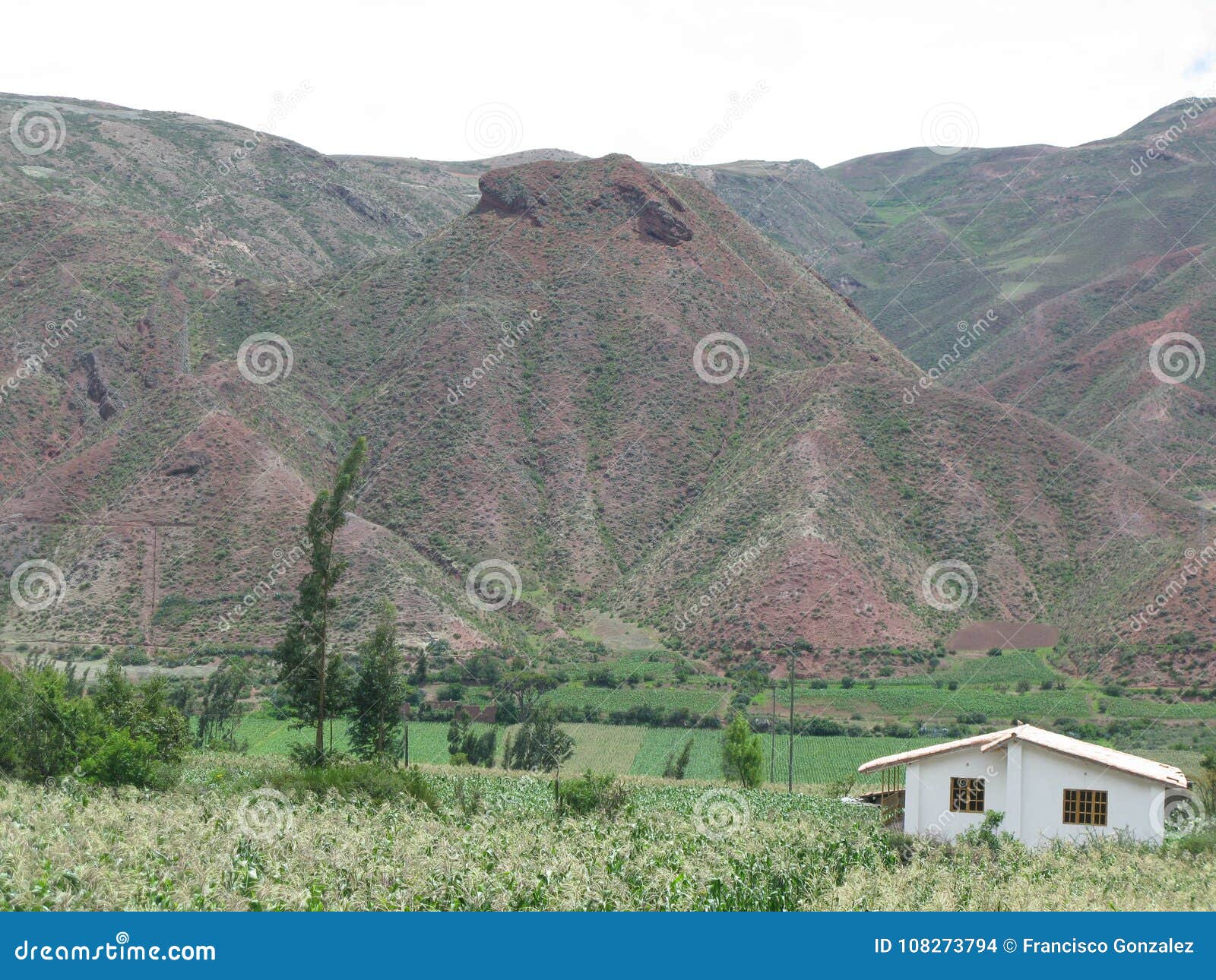 montaÃÂ±as de peru, rodeada de verdes praderas