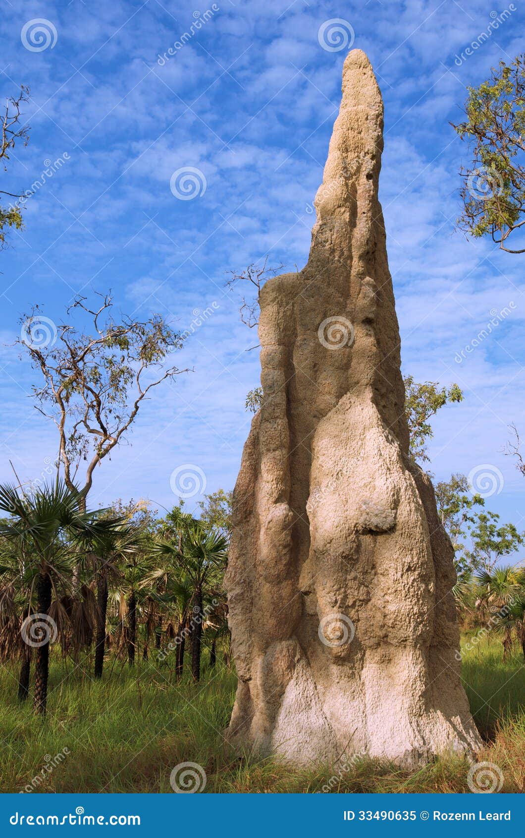 Monte da térmita. Monte gigante da térmita da catedral, parque nacional de Litchfield, Território do Norte, Austrália
