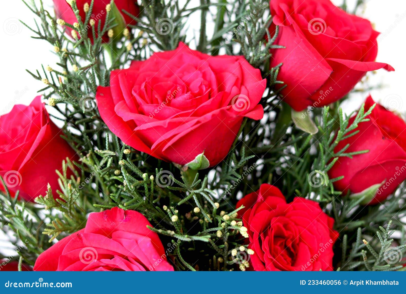 Monte De Rosa Vermelha Artificial No Vaso Floral Foto de Stock - Imagem de  organizar, colorido: 233460056