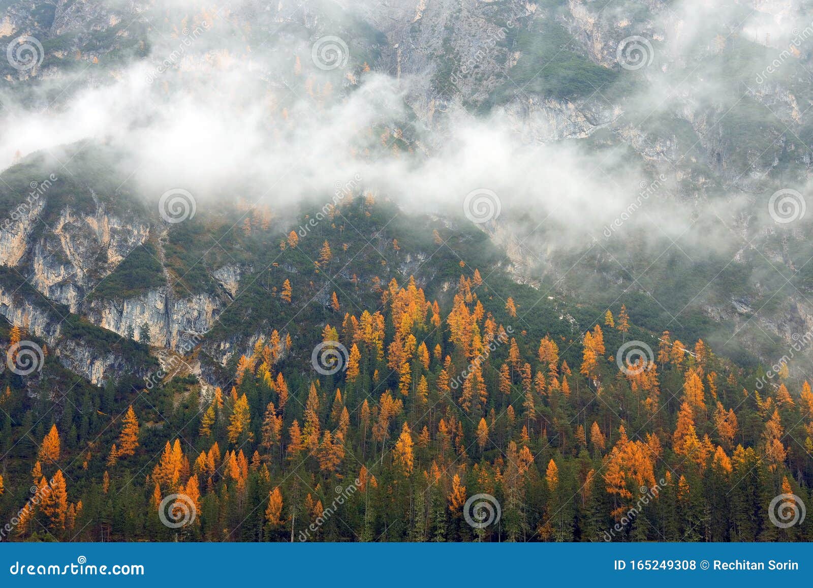 monte piana or monte piano, with beautiful autumn colors seen from the shore of lake landro.