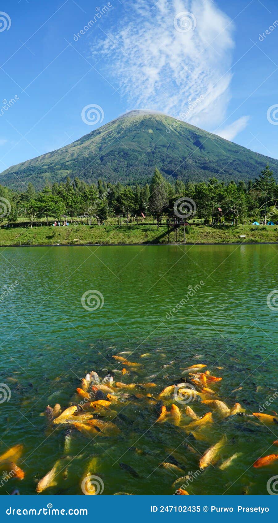 Monte Verde De Pescado Y Cielo Azul Imagen de archivo Imagen de azul