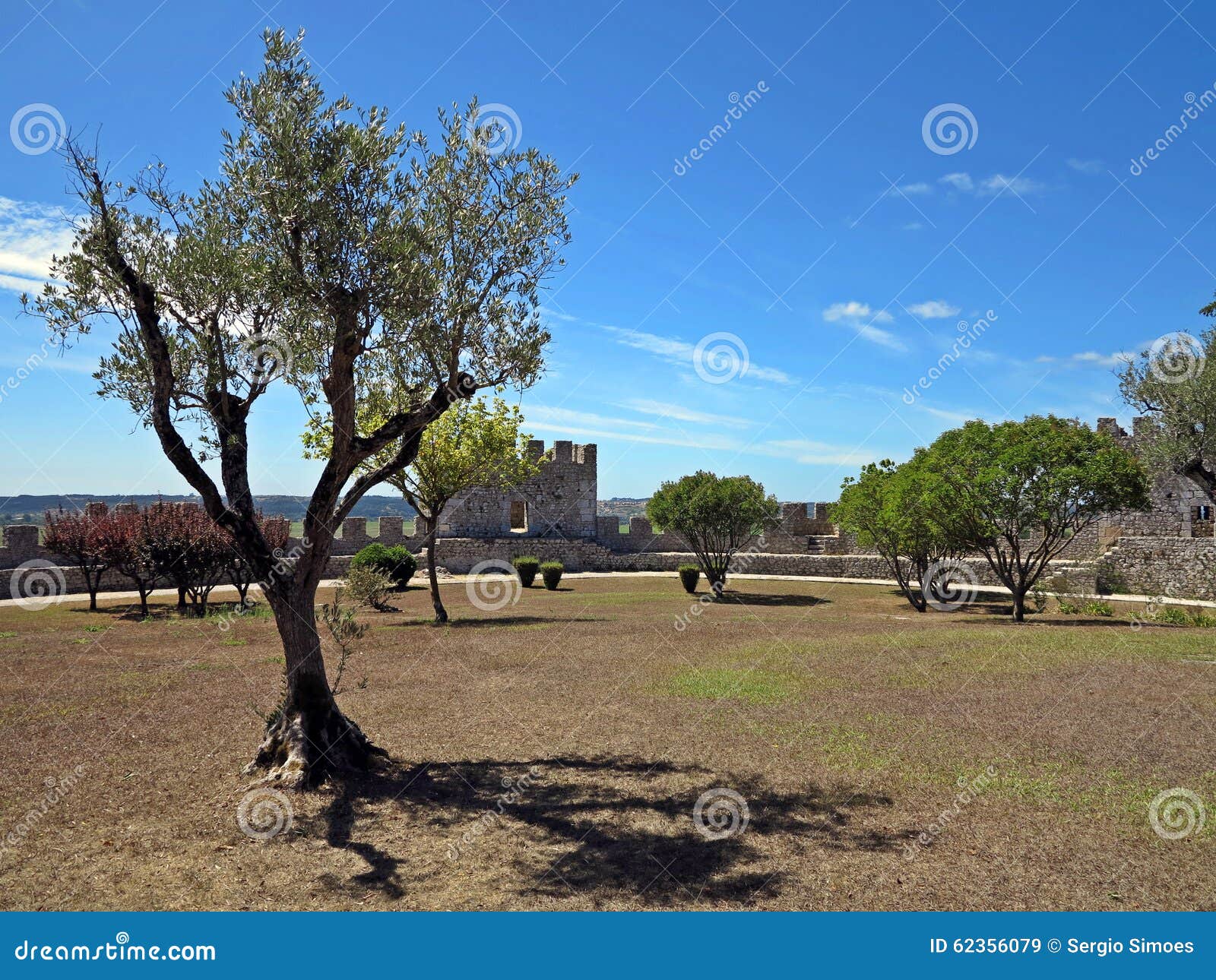 montemor-o-velho castle