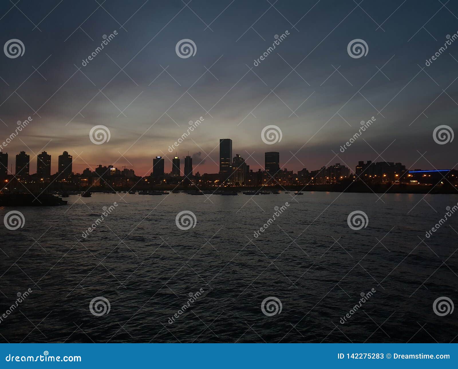 montevideo city in the port