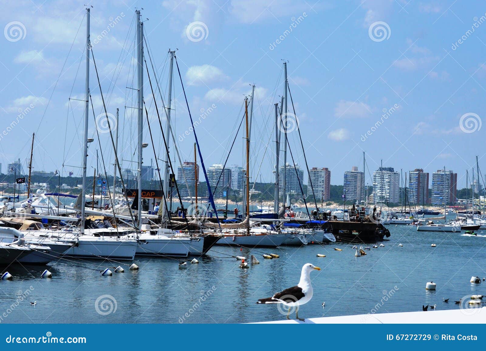 montevideo port - uruguay