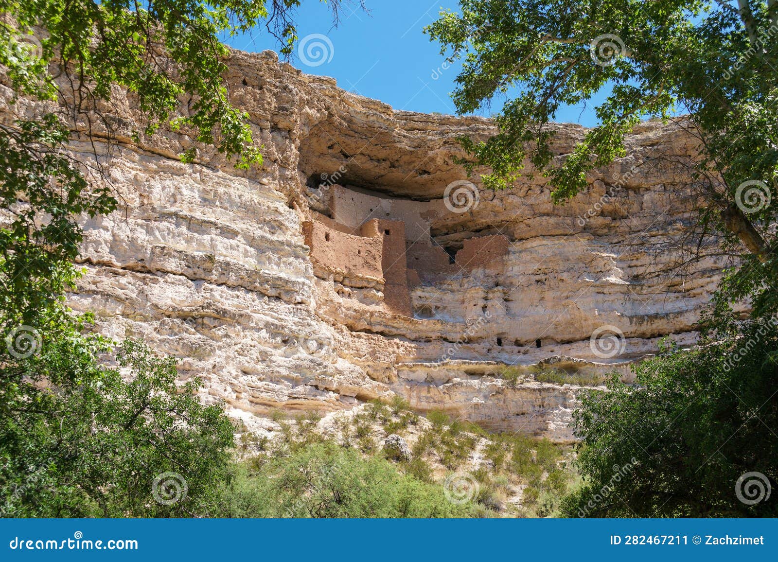 Montezuma S Castle Cliff Dwelling in Camp Verde, Viewed through Tree
