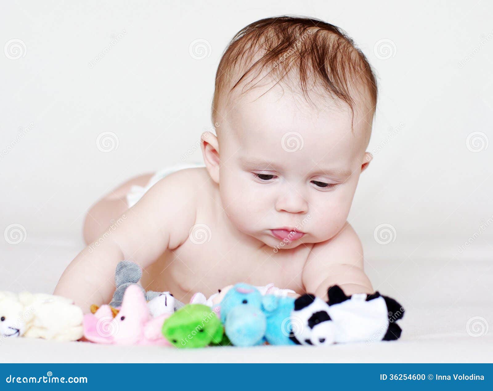 5 Months Baby with Plush Toys Stock Photo Image of rejoice, child