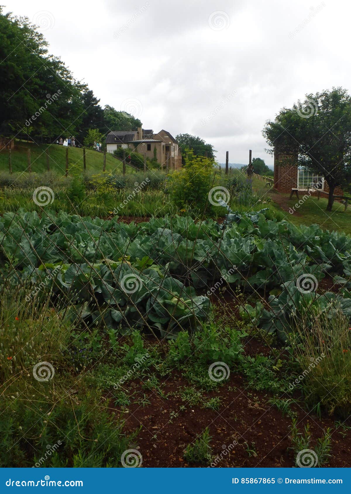 Monticello Garden stock image. Image of buildings, jefferson 85867865