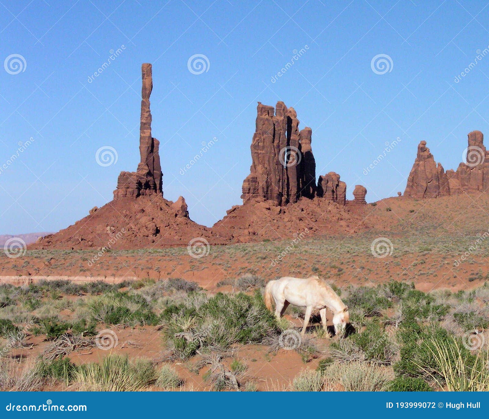 Monument Valley Horse Grazing Near the Totem Pole Stock Photo - Image of  formations, summer: 193999072
