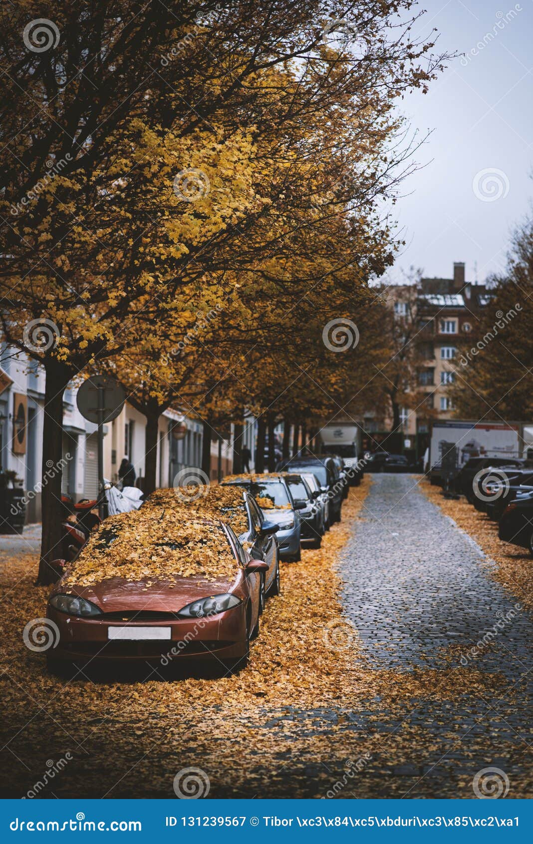 Moody Day In The City Orange Yellow Leaves On The Cars During A Autumn Period Prague City In A Europe Fall Background With Veh Stock Image Image Of Fall Rain 131239567 Download and use 10,000+ orange background stock photos for free. https www dreamstime com moody day city orange yellow leaves cars autumn period prague europe fall background veh vehicles street image131239567