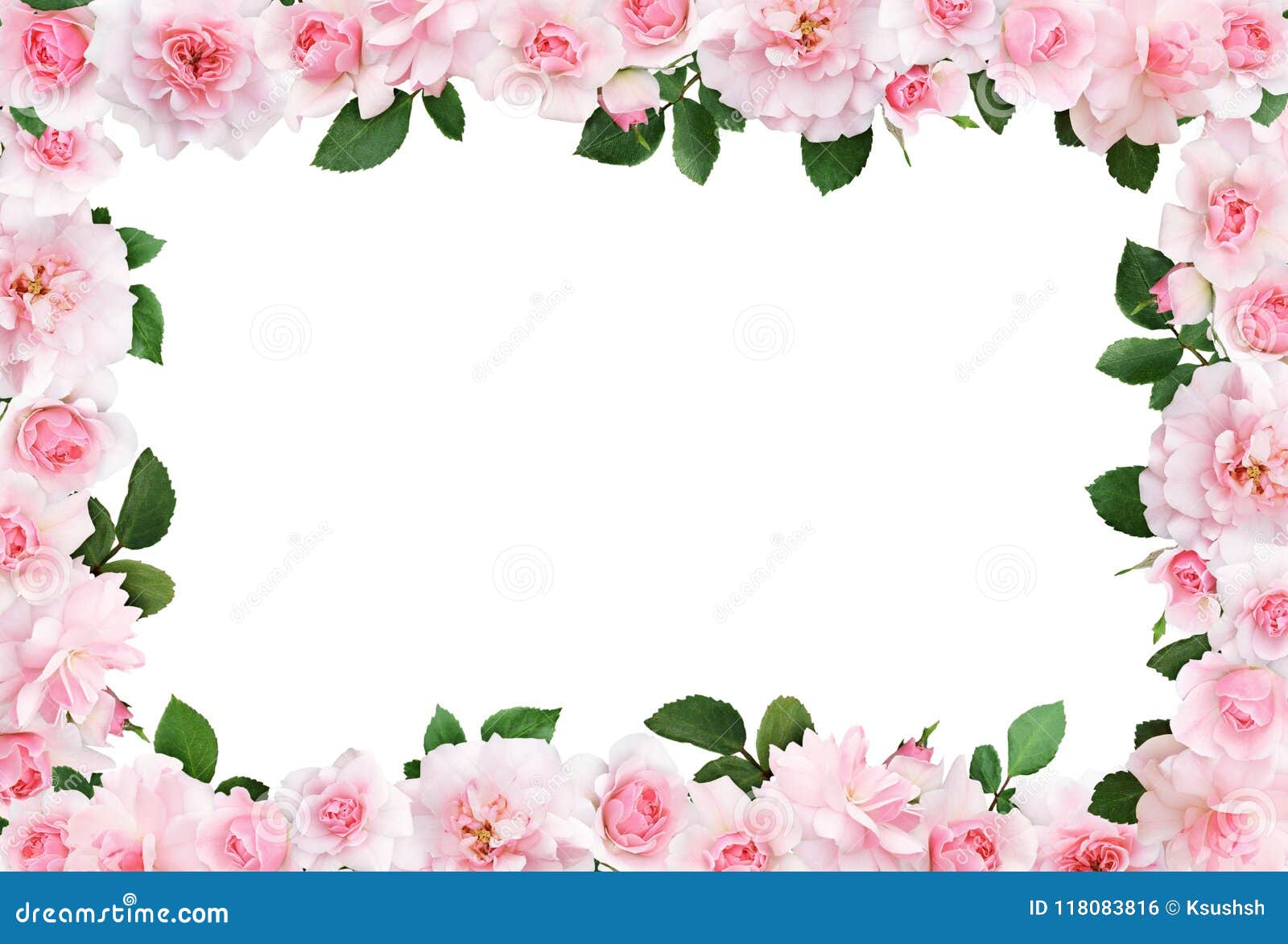 Mooi Kader Met Roze Roze Bloemen En Bladeren Stock Illustratie - Illustration Of Cadeau, Heden: 118083816