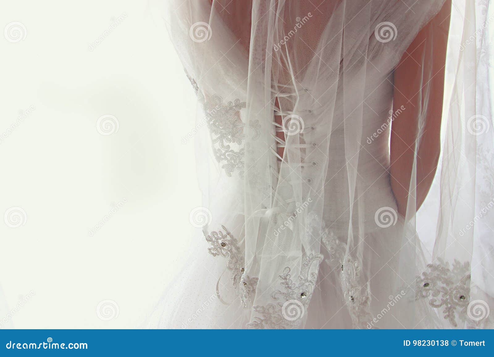 Mooie Bruid Met Huwelijks Erachter Kleding En Sluier, Van Stock Foto ...