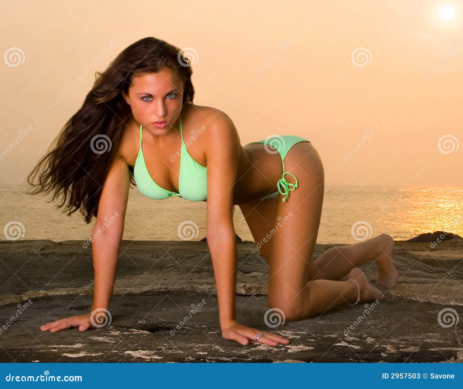 Mooie Jonge Vrouw in Een Bikini Stock Afbeelding Image of schoonheid