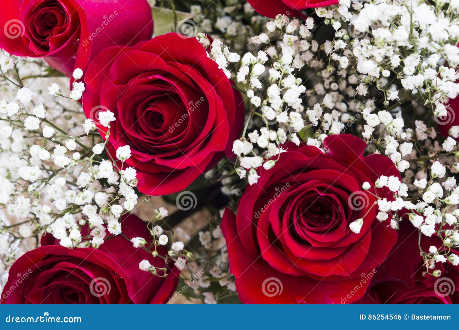 inch een vuurtje stoken In de naam Mooie rode rozen stock foto. Image of adem, groen, textuur - 86254546