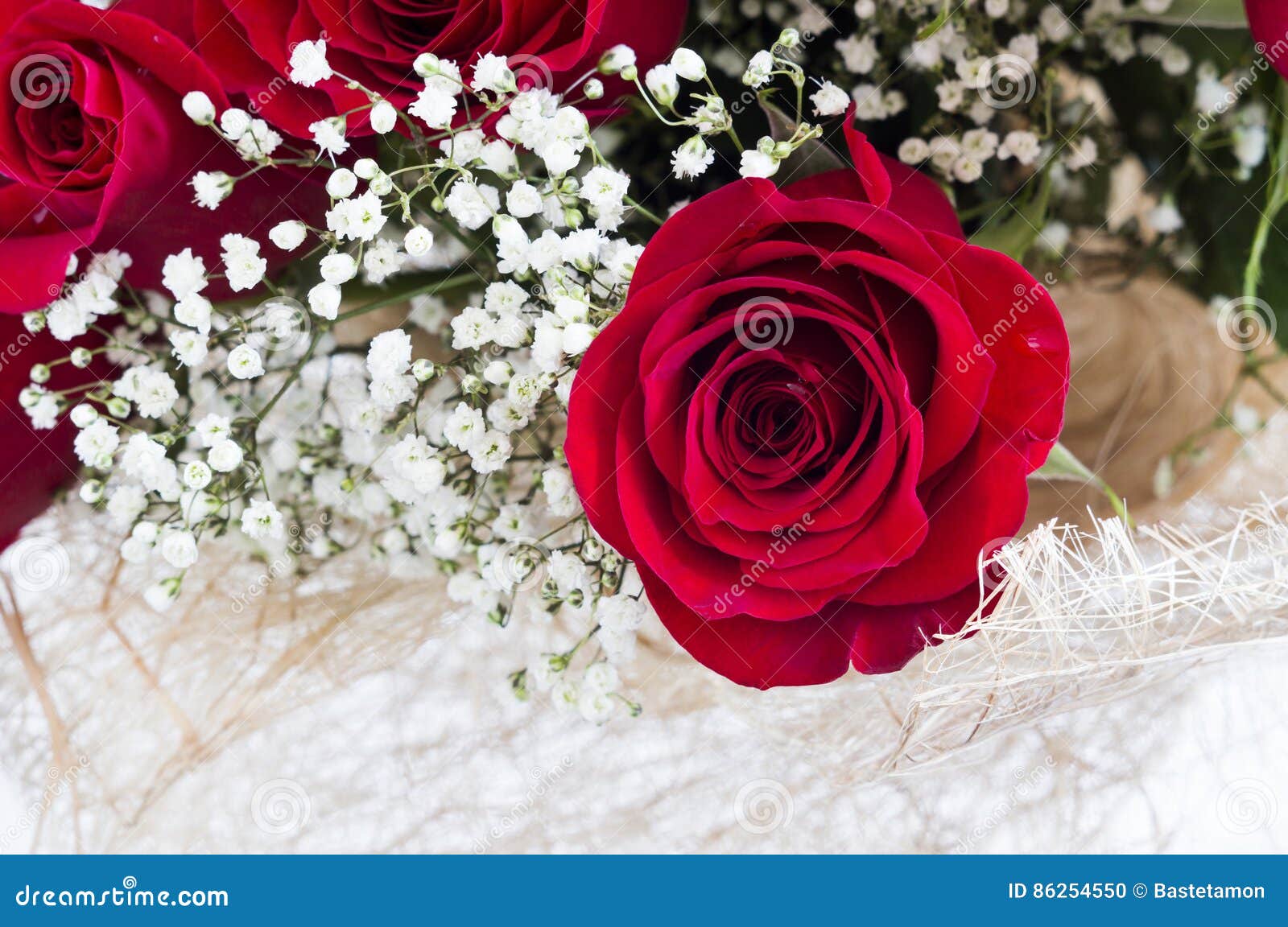 Lach Gestaag Werkloos Mooie rode rozen stock foto. Image of baby, bloemen, tuin - 86254550