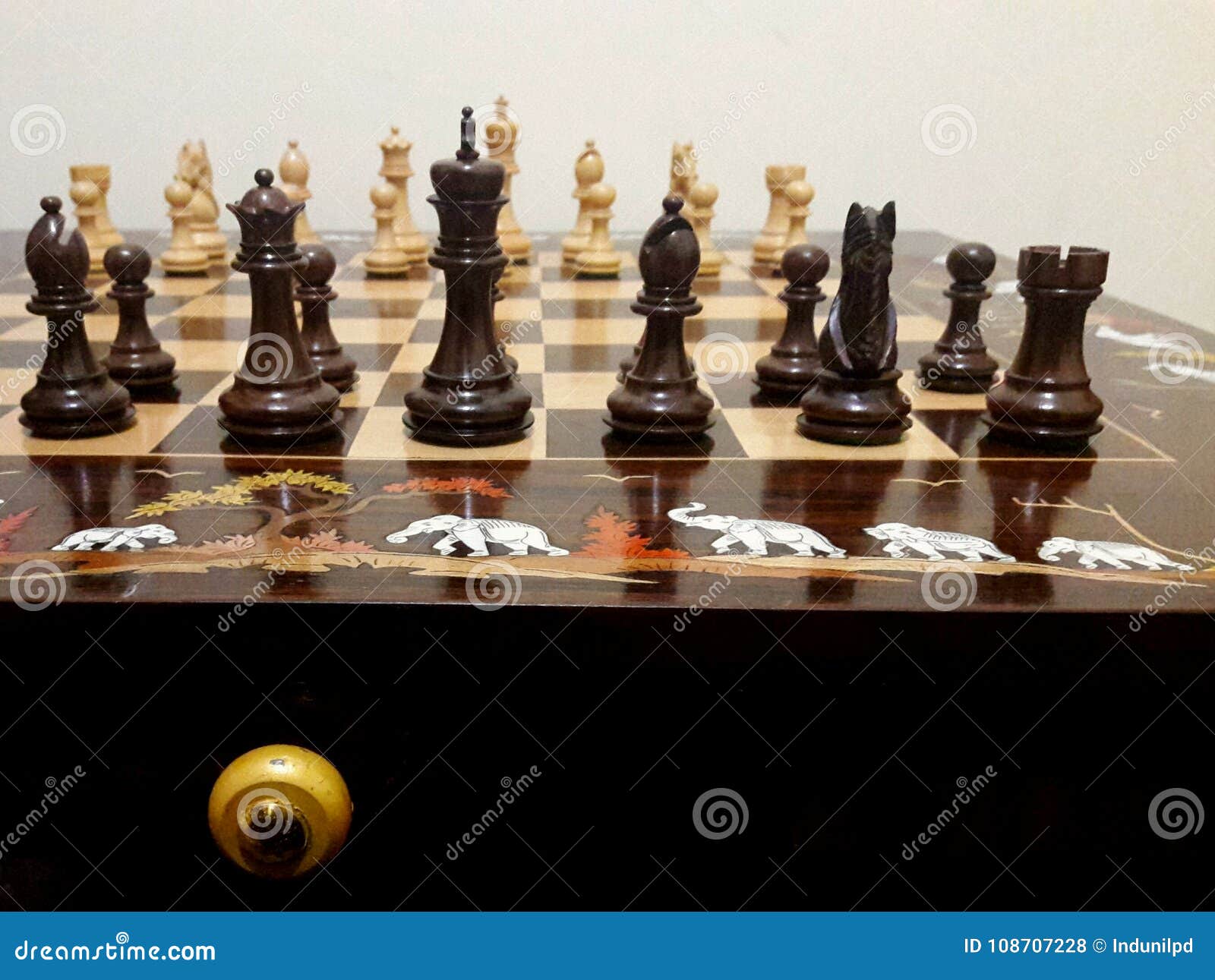 Vul in Professor Handvest Mooie schaakstukken stock foto. Image of besluit, achtergrond - 108707228