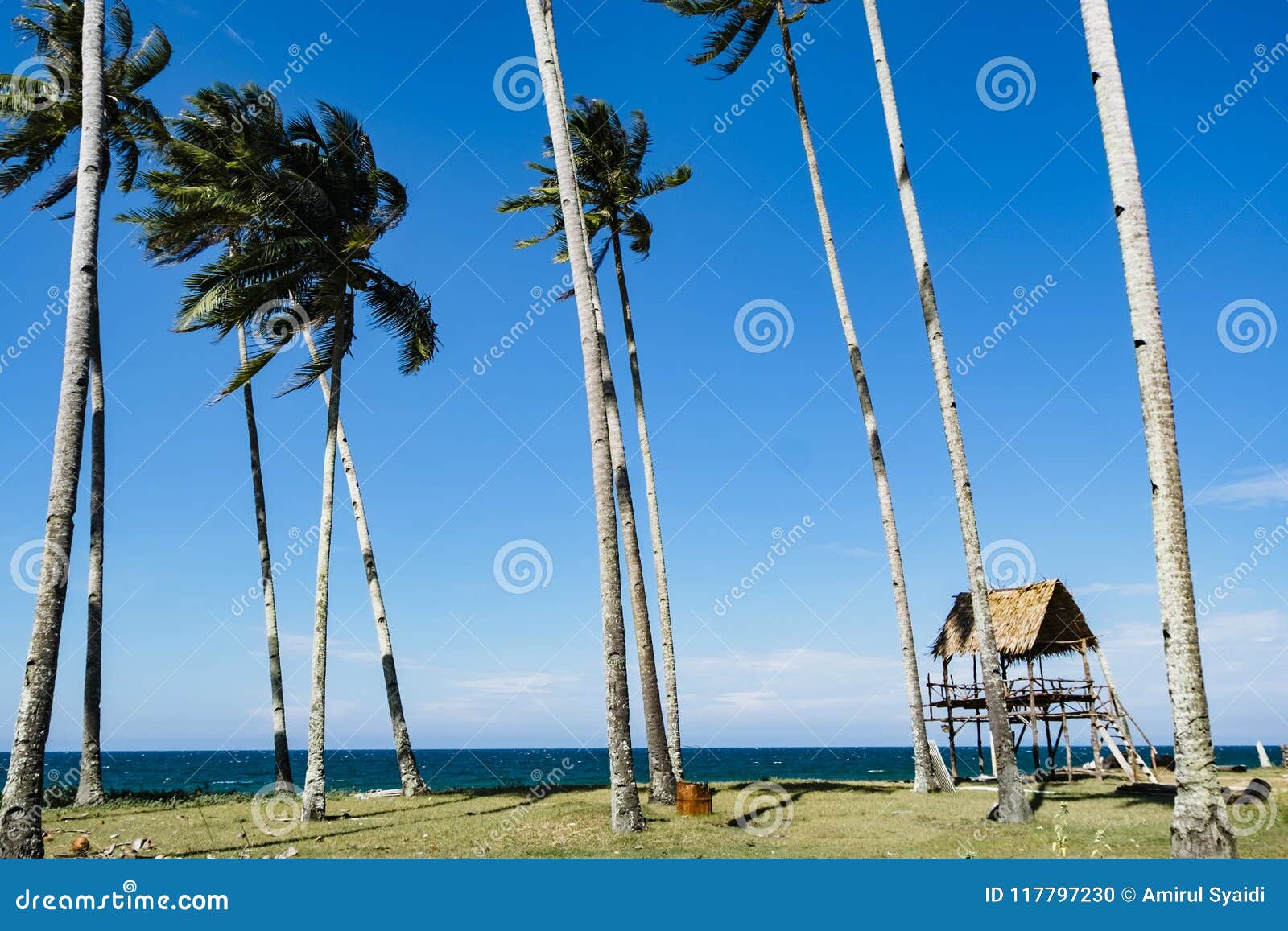 Mooie tropische overzeese mening onder heldere zonnige dag, zandig strand, boot, kokospalm en blauwe hemelachtergrond