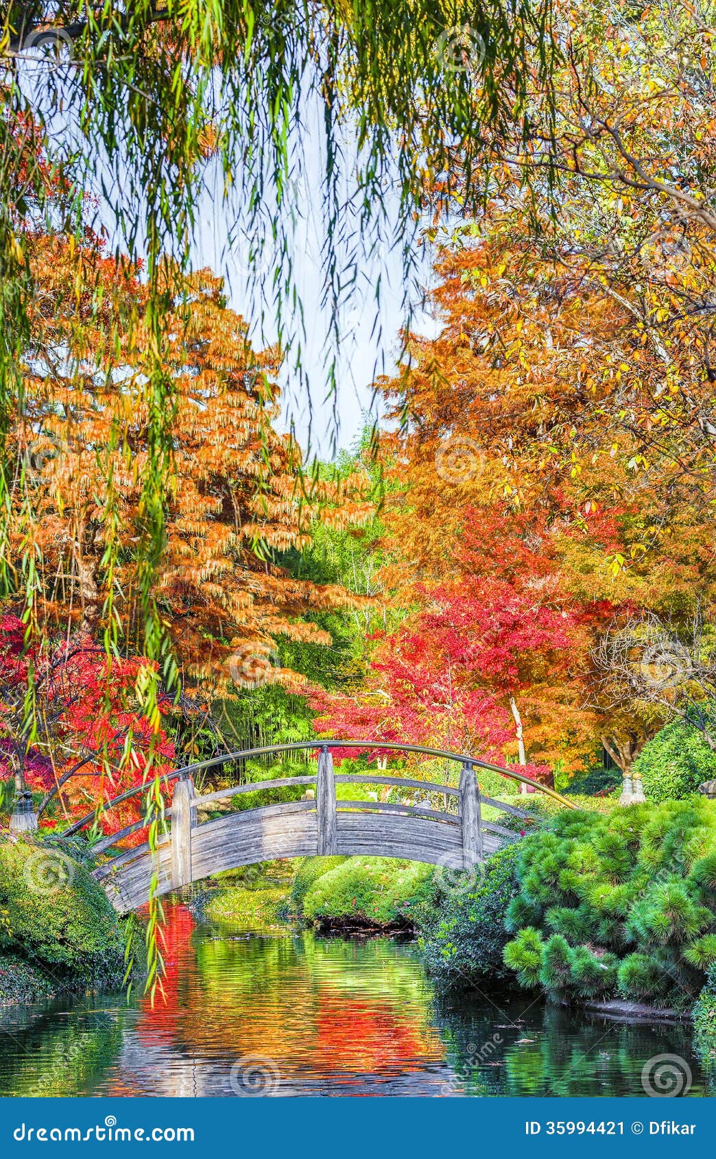 162%20Weeping%20Willow%20Japanese%20Garden%20Photos%20-%20Free%20&amp;%20Royalty-Free%20Stock%20%20Photos%20from%20Dreamstime