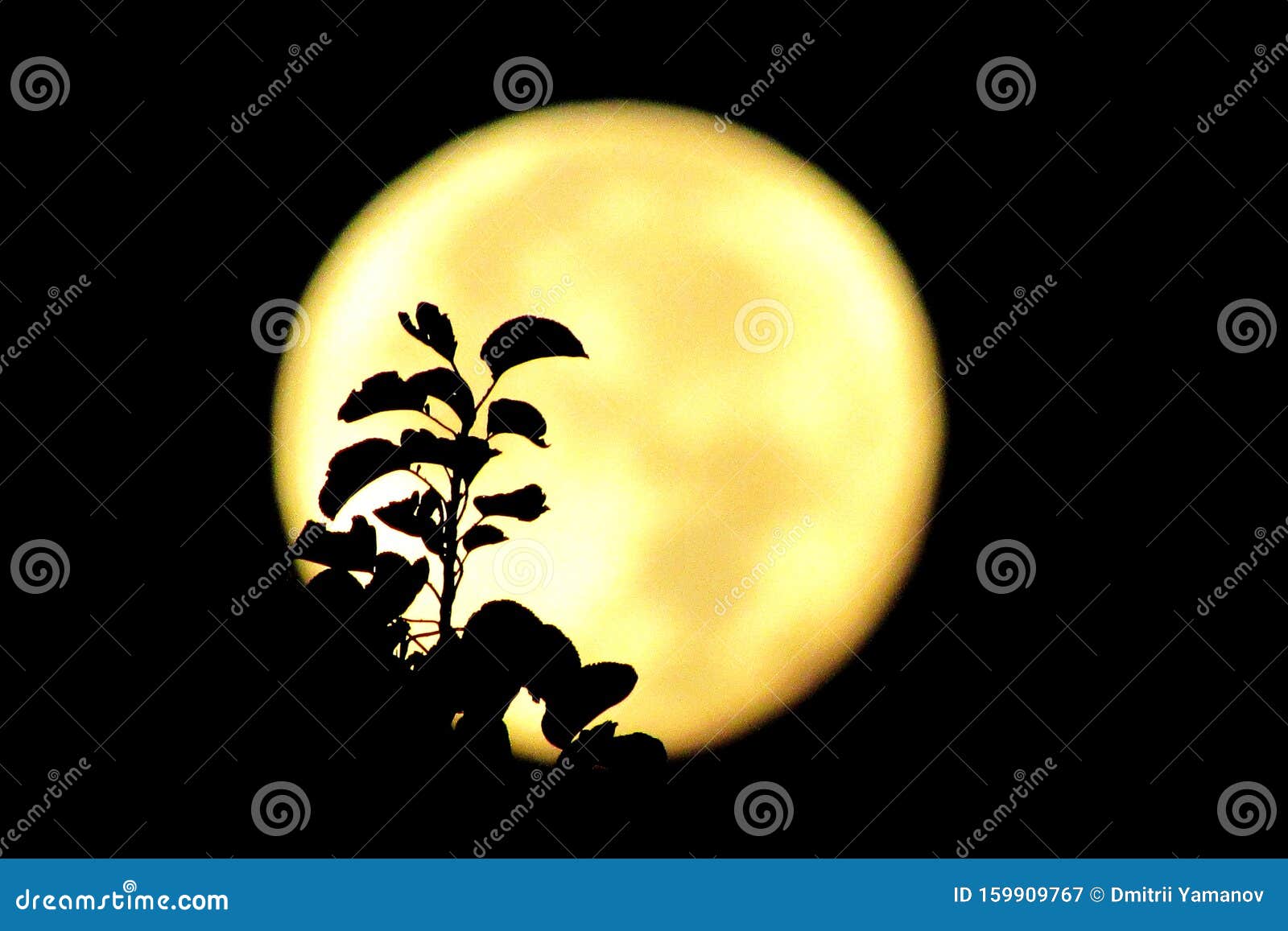 Moon Full Moon Night Sky Night Landscape Stock Image Image Of