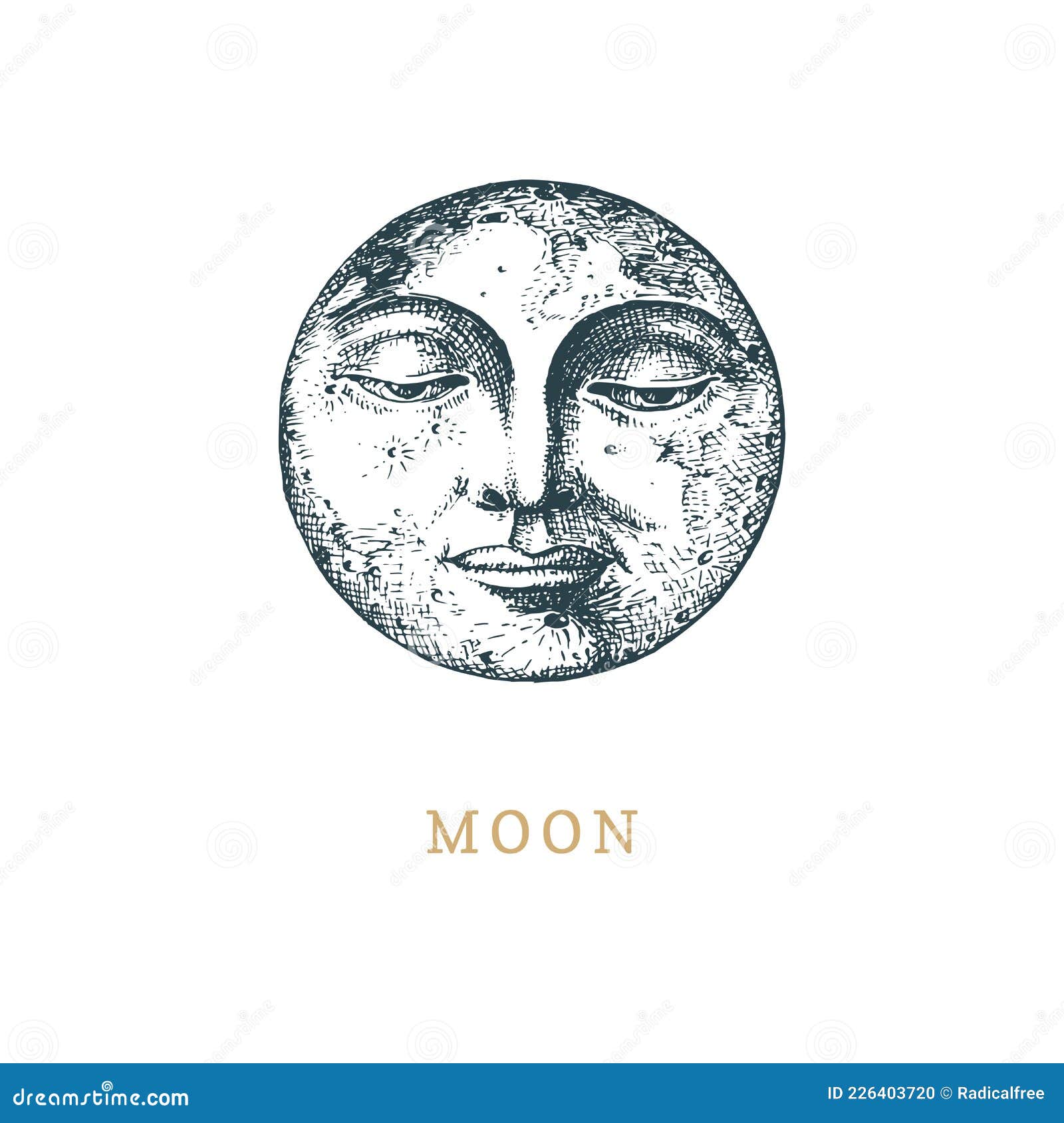 Moon Hand Drawn In Engraving Stylevector Sketch Stock Vector