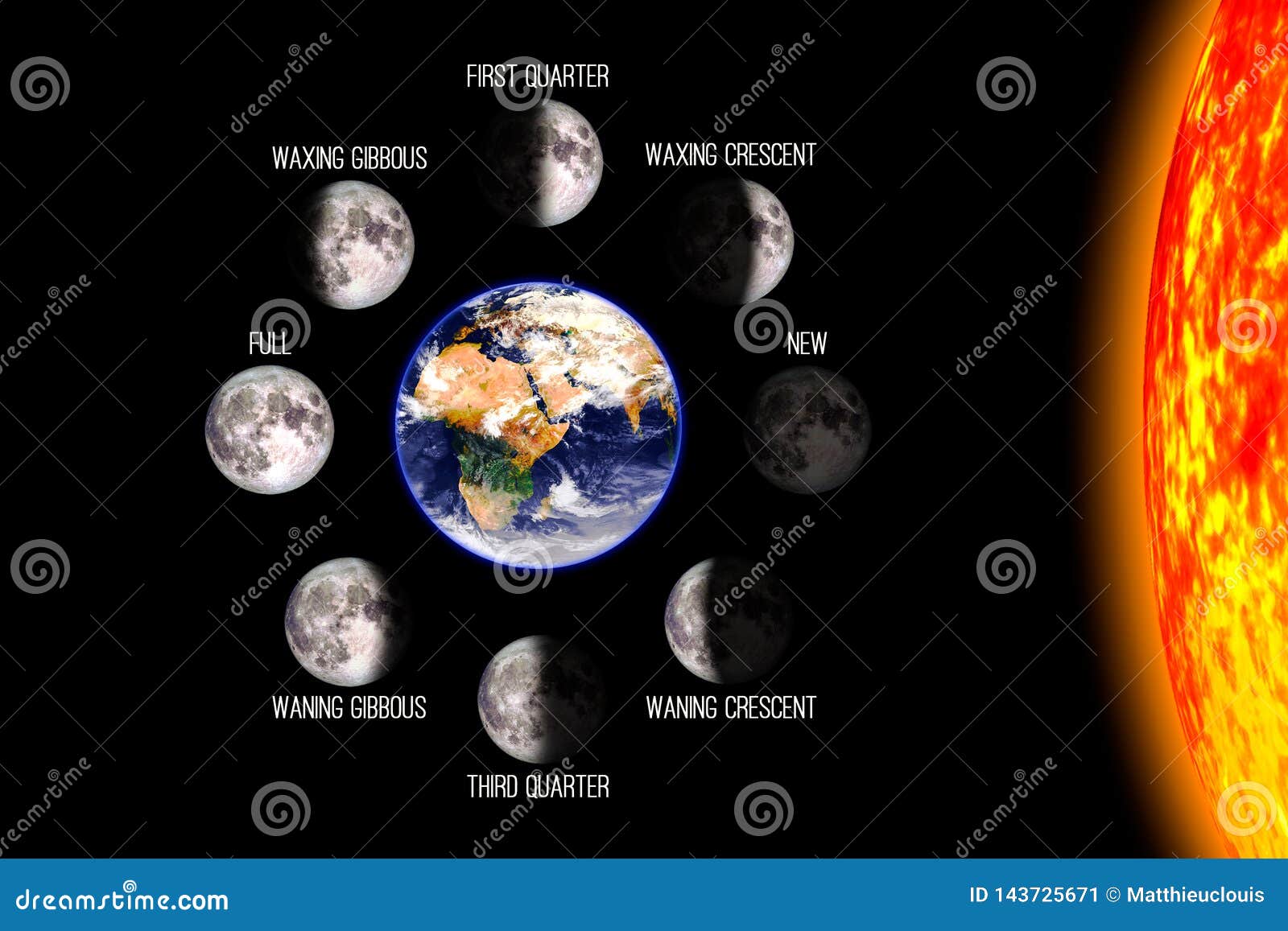 Lunar s phases astronomy for kids solar eclipses cartoon vector