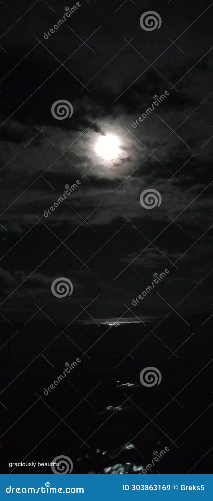 the moon at night reflects the ocean