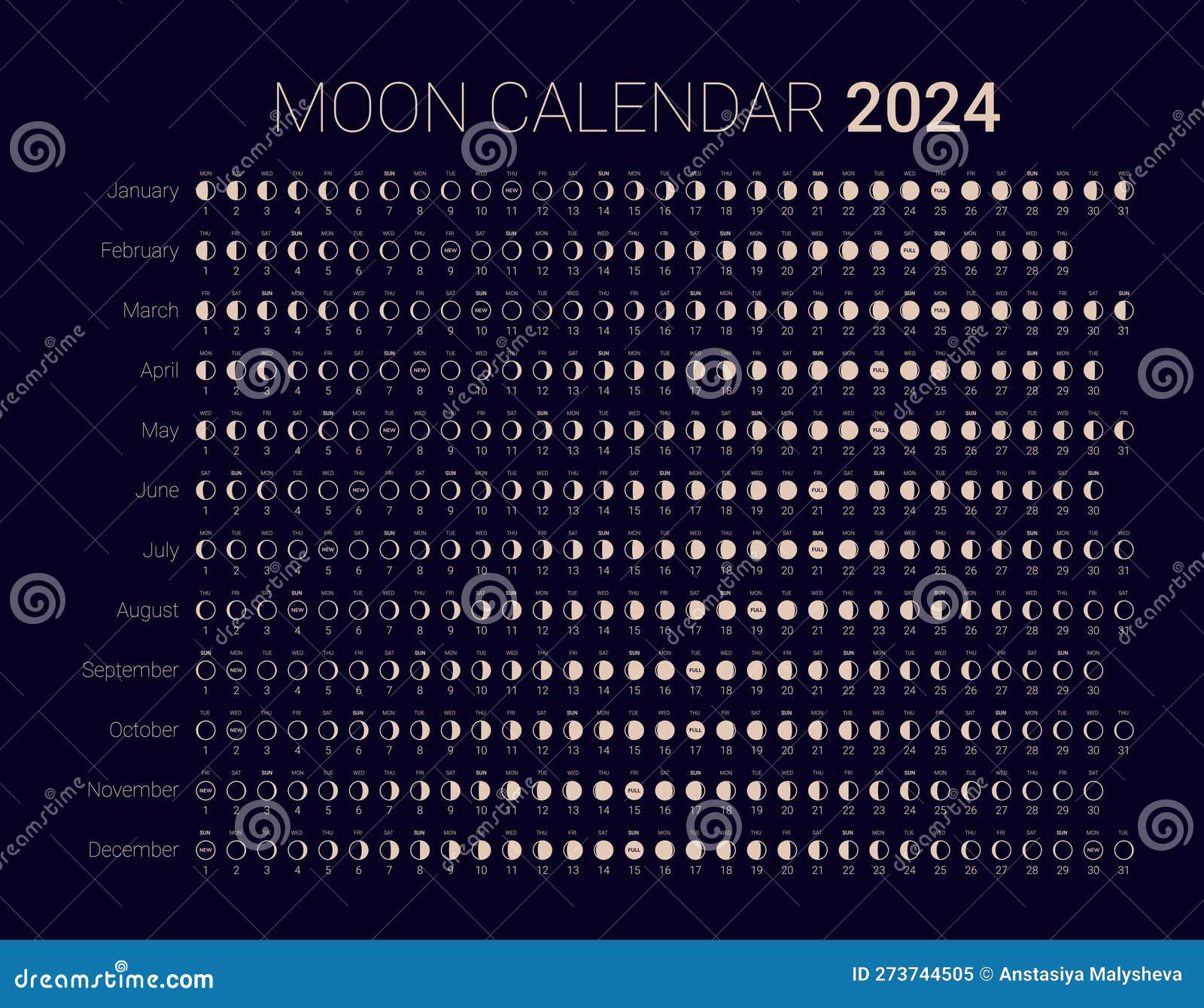 Moon Phase Cycle 2024 Year Astrological Calendar Design Template Stock