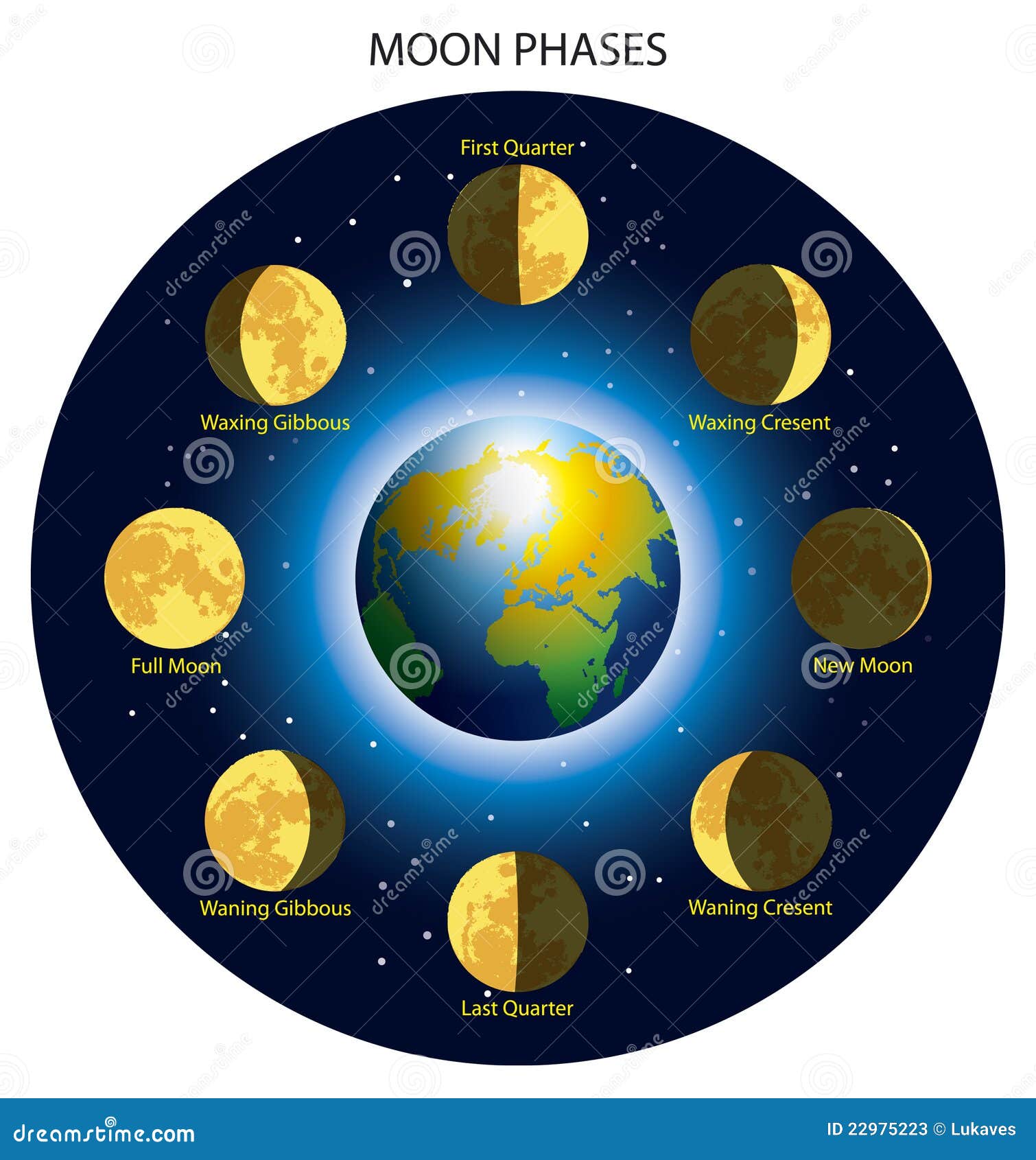 Basic Moon Phases Diagram Moon Phases Space Science Basic - Bank2home.com