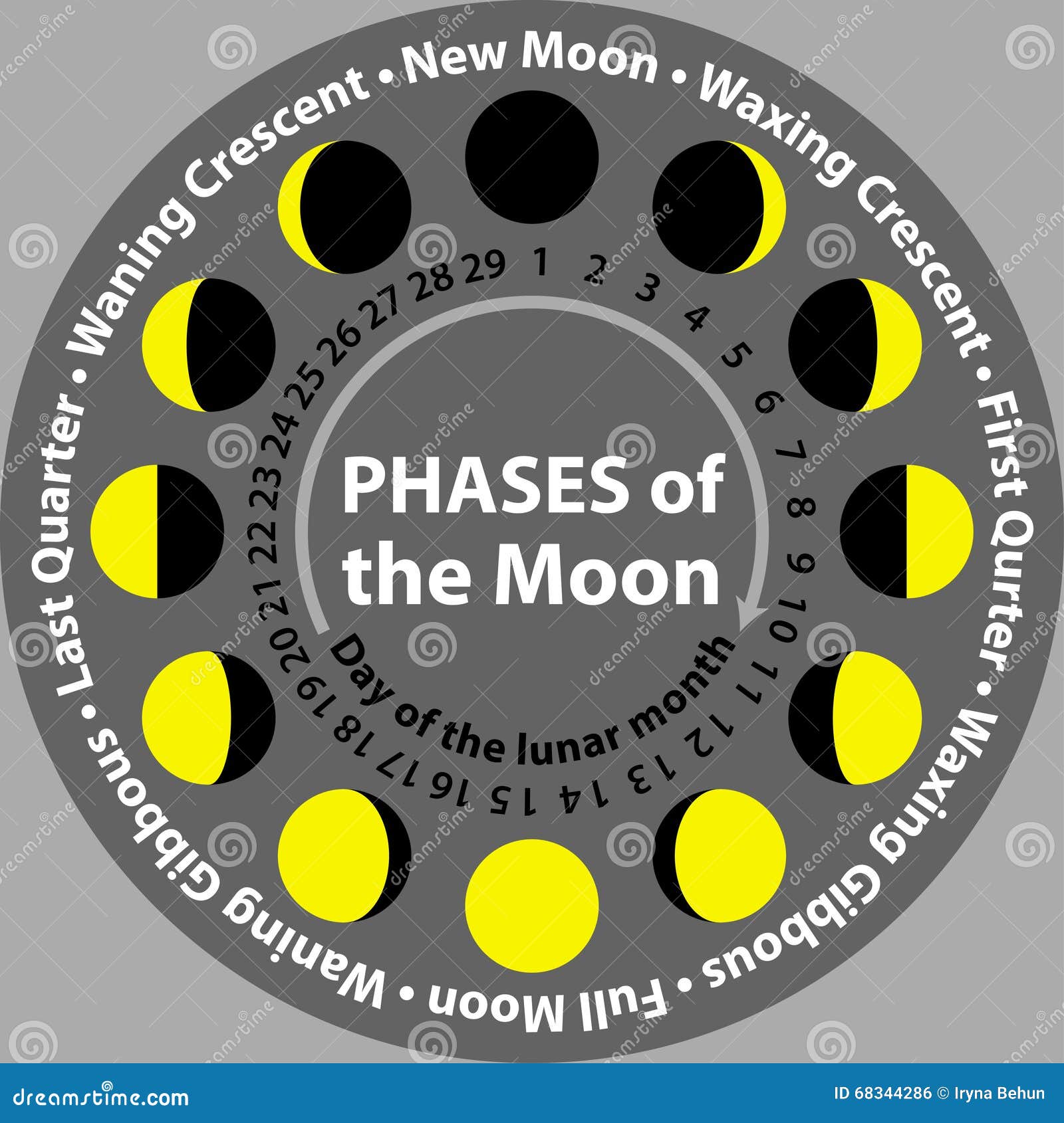 Moon Phases In A Circle. Scheme Stock Vector - Illustration of half, gibbous: 68344286