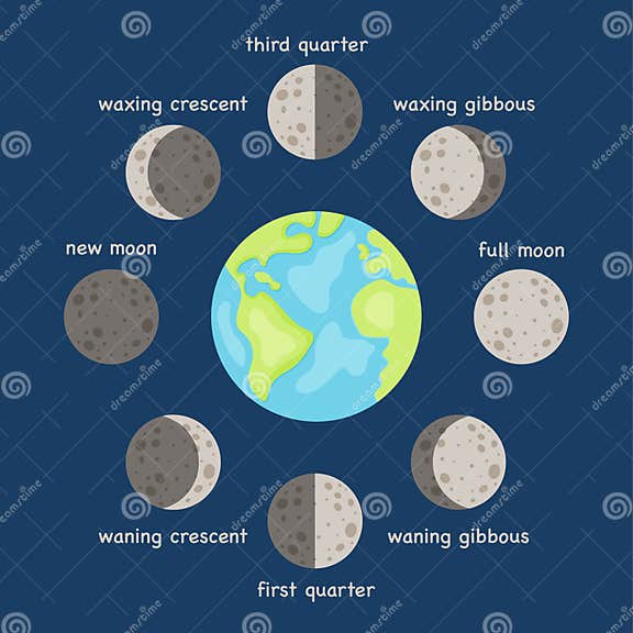 Moon Phases Cycles with Titles Isolated Illustration Lunar Calendar Moon Phases Cycles with Titles Isolated Illustration Lunar Calendar
