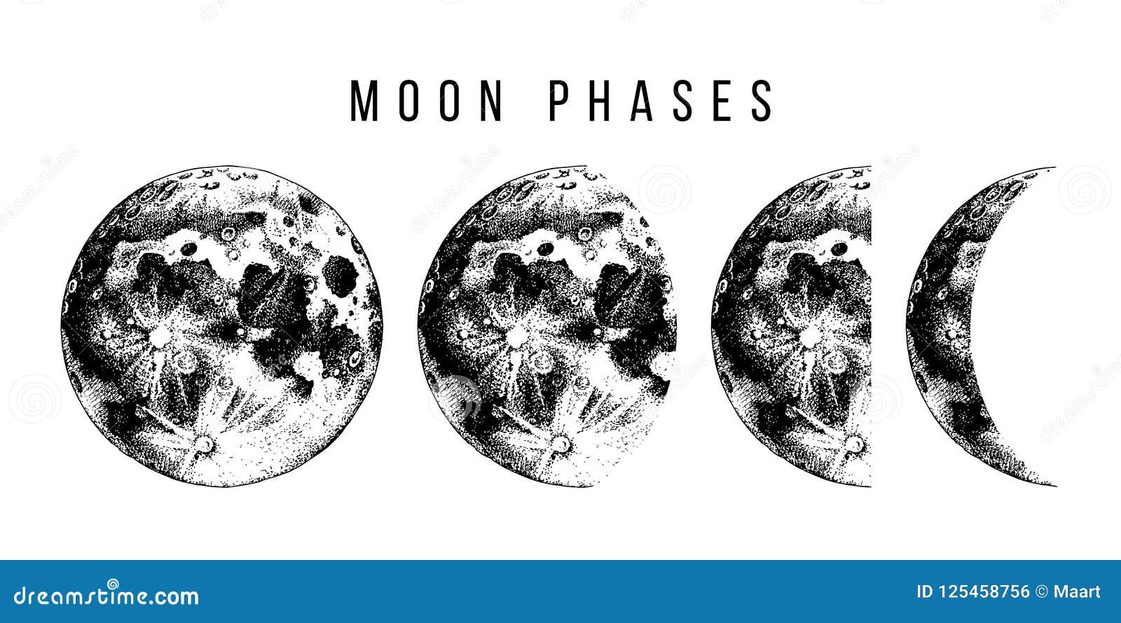 moon phases 