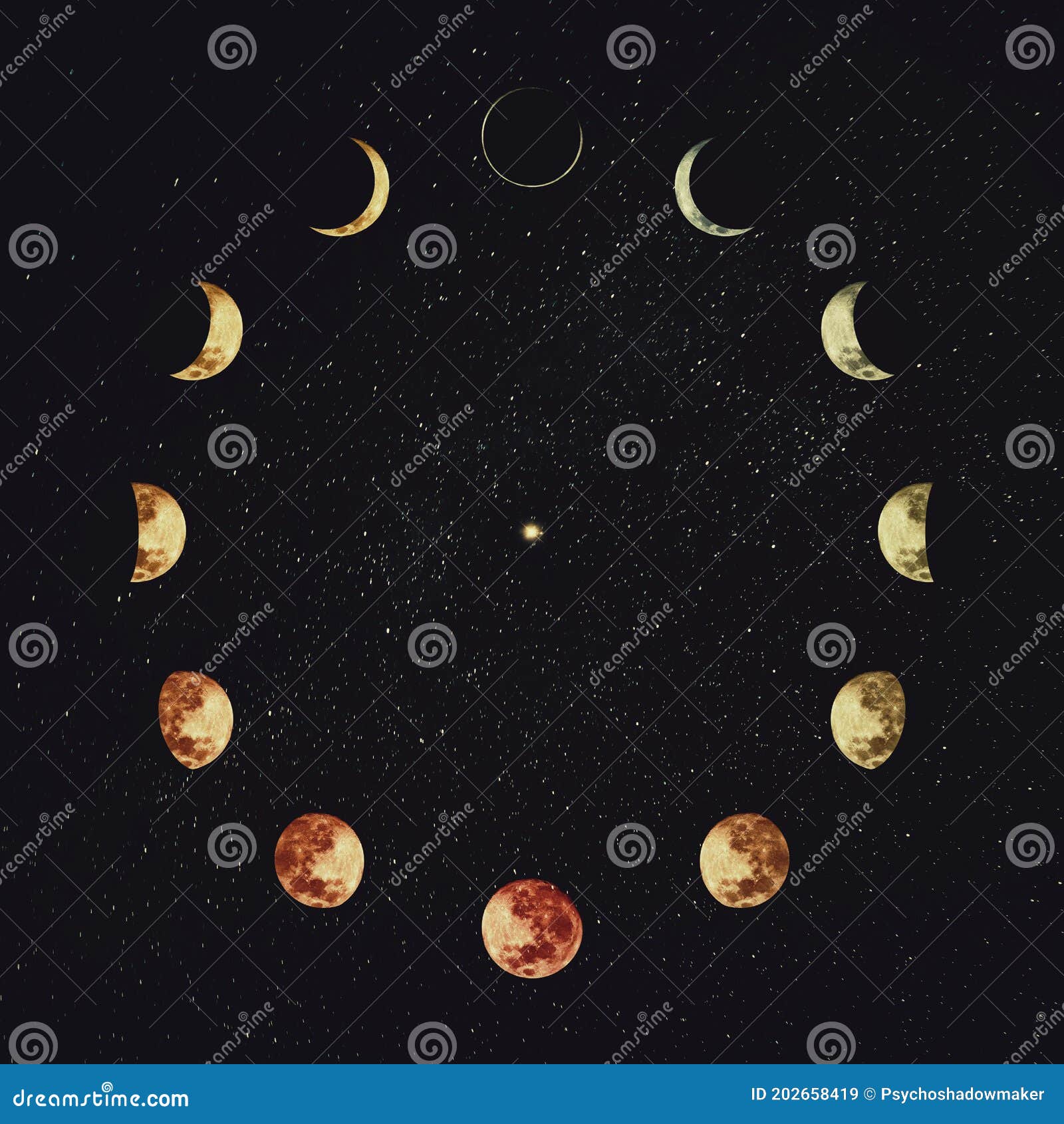 moon phases over starry night sky background. astronomy and astrology conceptual scene. esoteric magic celestial signs, lunar