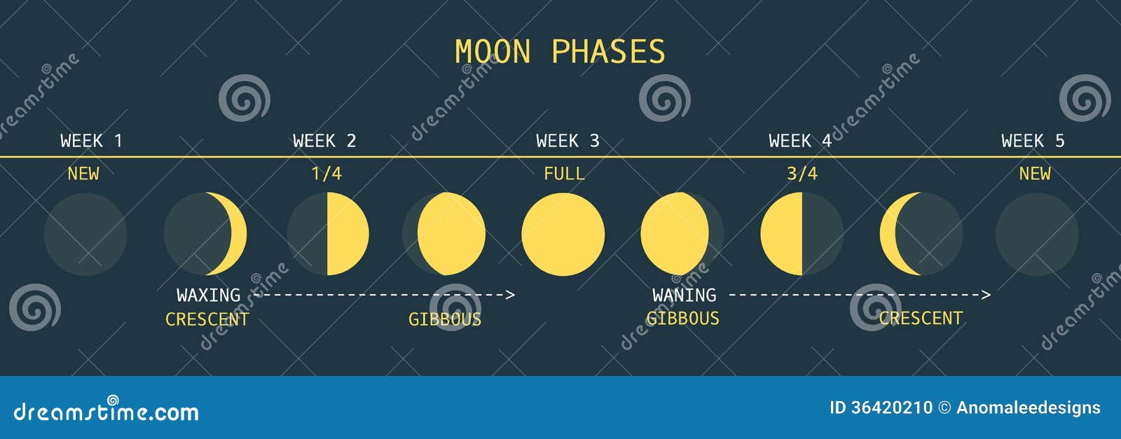 Monthly Moon Phase Chart