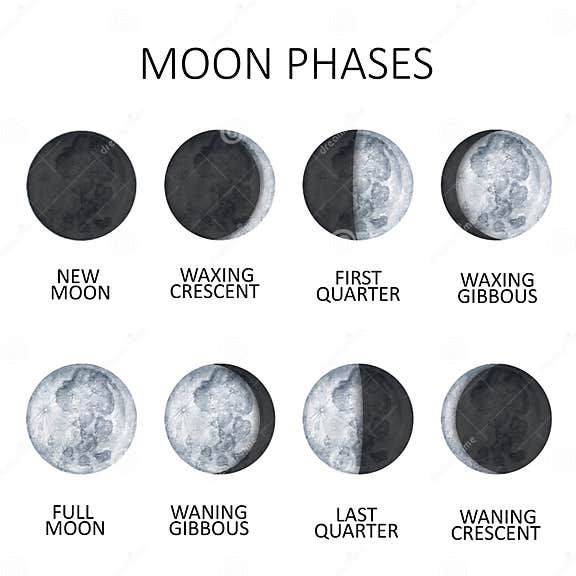 Moon Phases on White Background. Galaxy Hand Drawn Isolated Watercolor ...