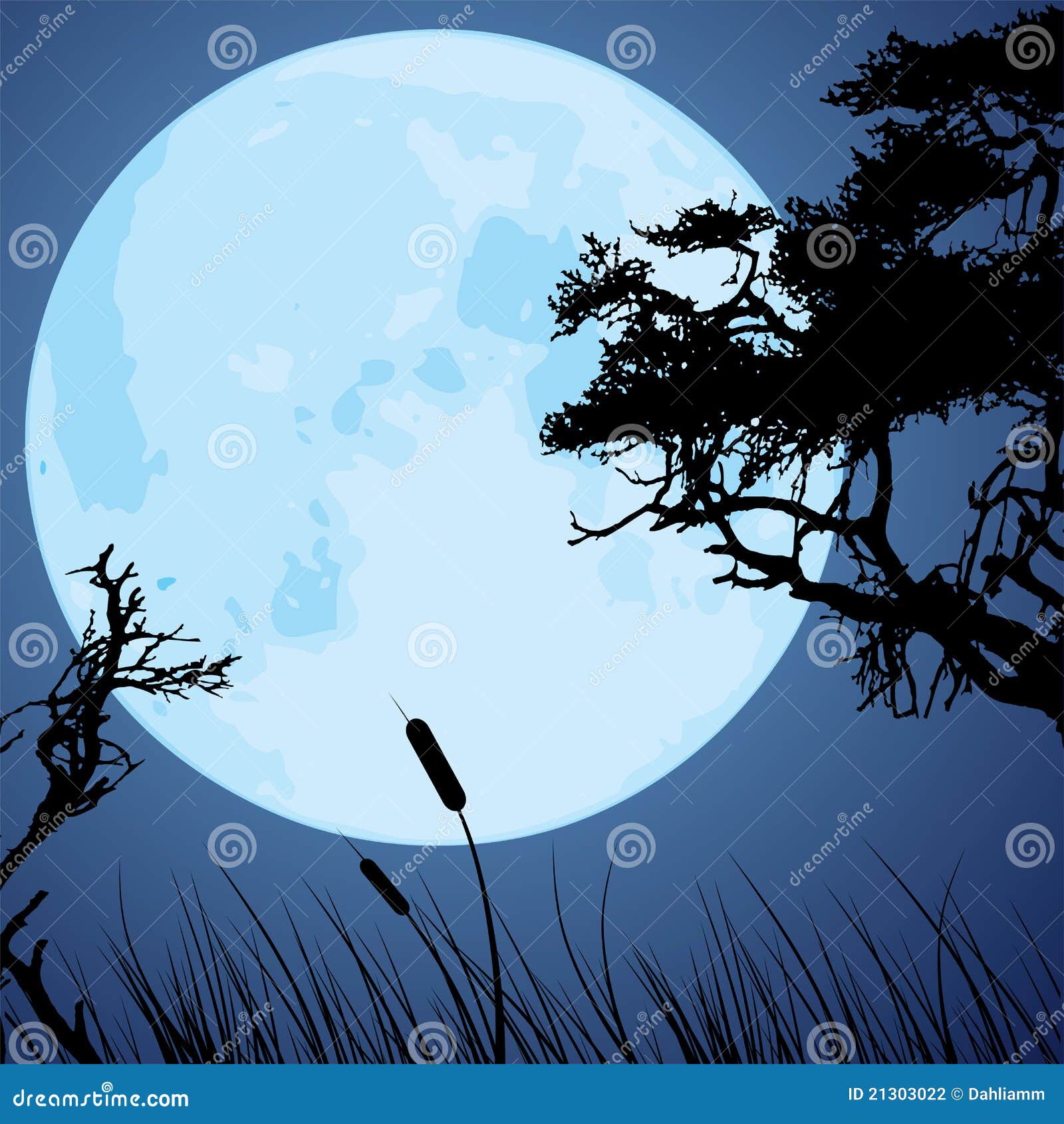 Moon and Silhouettes of Tree Branches Stock Vector - Illustration of