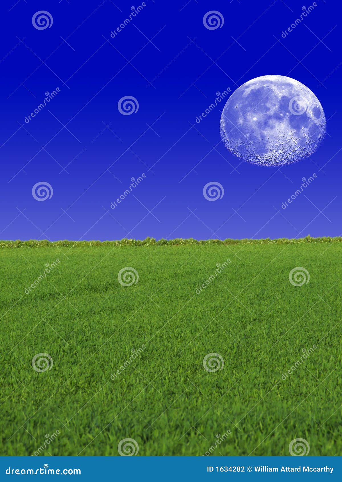 Moon & Sky & Grass stock photo. Image of moon 1634282