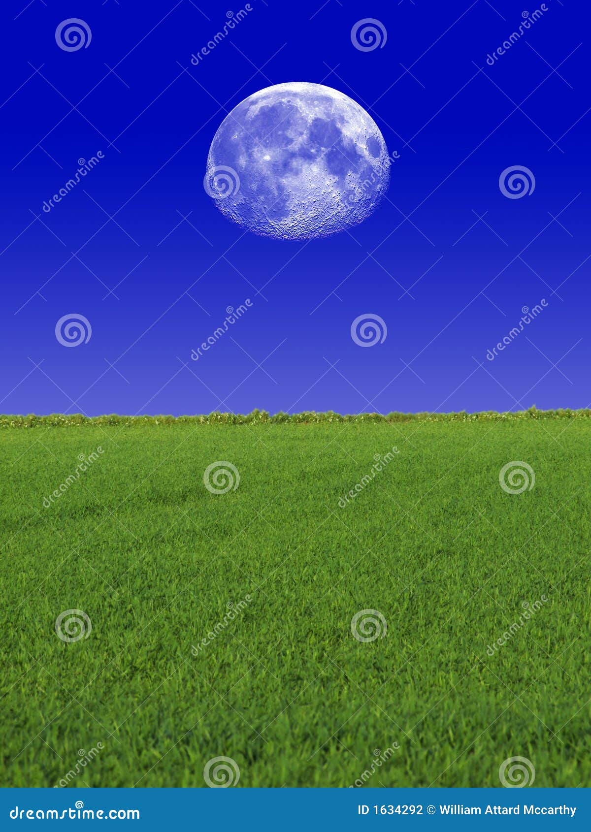 Moon & Sky & Grass stock photo. Image of landscape - 1634292
